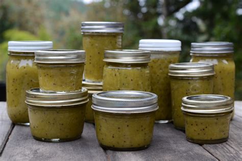 2013 Food Preservation Season Straight Up Kiwi Jam