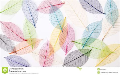 Leaves Background In Pretty Pastel Colors Stock Image Image Of