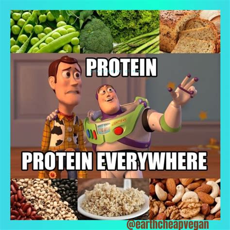Vegan Meme Protein Vegan Memes Vegan Food Memes