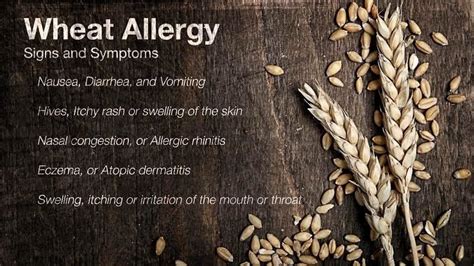 Wheat Allergy