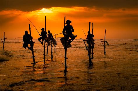 Stilt Fishermen In Sri Lanka Chamila Tours Private Driver Sri Lanka