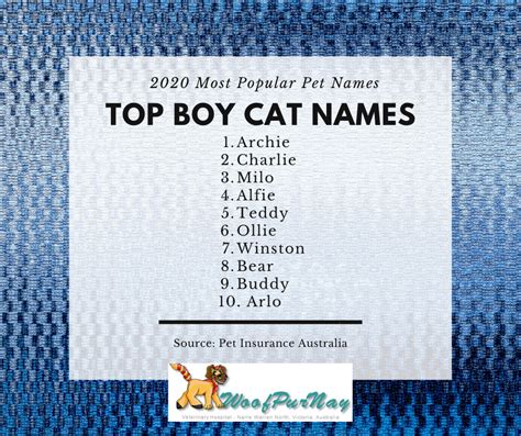 Most Popular Pet Names Of 2020 — Woofpurnay Veterinary Hospital