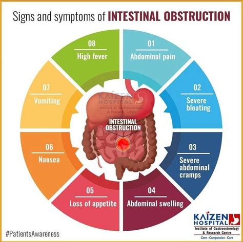 A Diagram Showing The Signs And Symbols Of Intestrial Obstruction