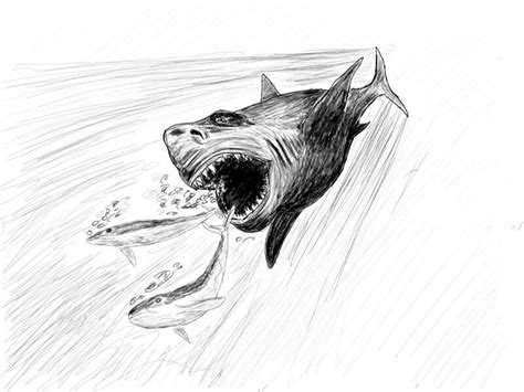 How To Draw Megalodon With Pencil Step By Step Drawing Tutorial