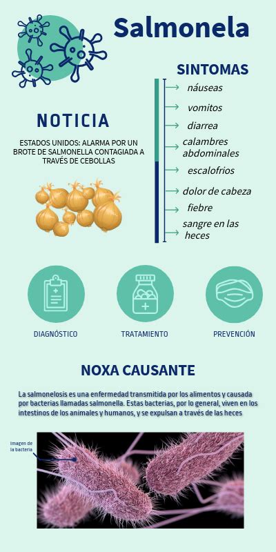 Sintomas De Salmonella