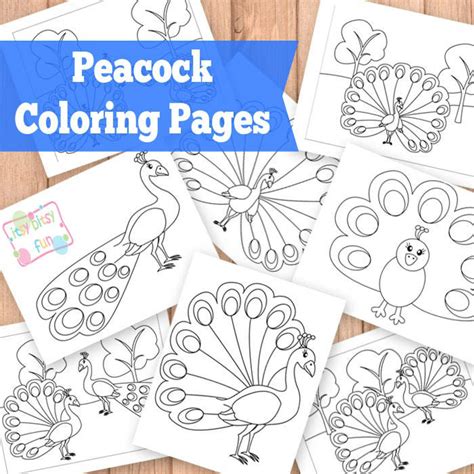 Peacock Coloring Pages For Adults Tobanga Colors