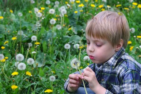 Child Blowing Dandelion Boy In The Meadow With Dandelion Copy Space