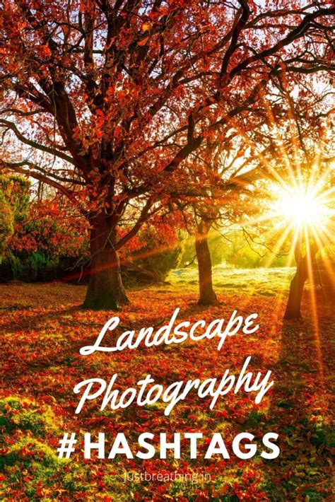 Popular Landscape Hashtags For Landscape Photography On Instagram