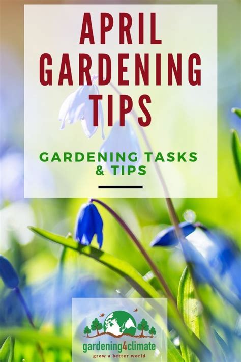 April Gardening Tips In 2020 April Gardening Gardening Tips
