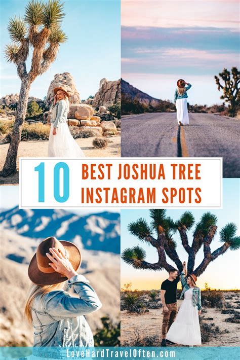 Joshua Tree Photo Spots Best Instagram Spots In The Park Joshua