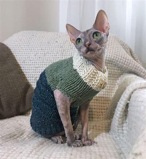 Sphynx Sweater Cat Sweater Cat T Cat Lover T Cat Clothes