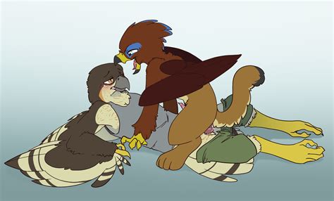 Rule 34 Absurd Res Accipiter Accipitrid Accipitriform Anal Anal Sex