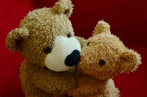 Free Images Sweet Cute Love Fur Brown Kiss Friendship Teddy Bear Textile Comfort