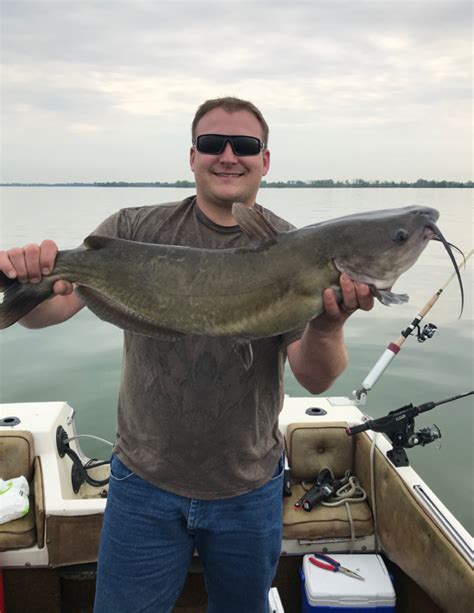 Caught A Channel Catfish On Lake Erie Sandusky Bay Using A Cut Bait