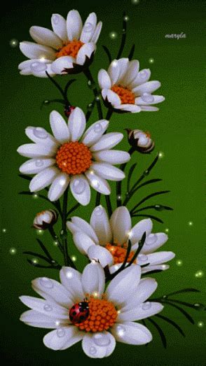 Decent Image Scraps Animated Flowers
