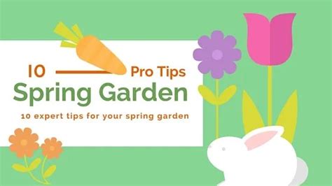10 Useful Gardening Tips For Spring Home Garden Companion