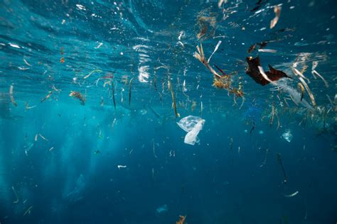 La Quantité De Plastique Dans Les Océans Pourrait Tripler Dici 2040