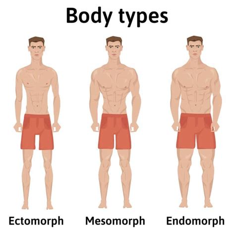 Ectomorph Workout The Skinny Guy’s Training Guide Fitness Volt