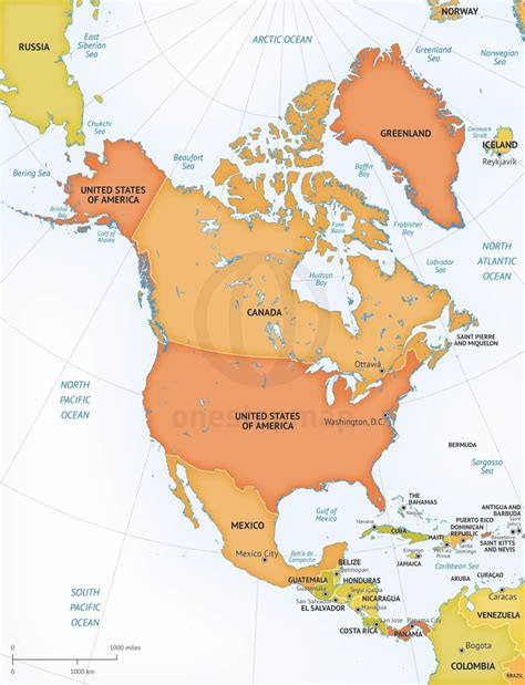 Vector Map North America Continent Xl Relief One Stop Map
