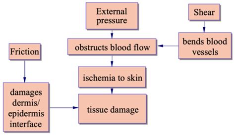 Ch Disorders Of Skin Integrity Function Flashcards Quizlet