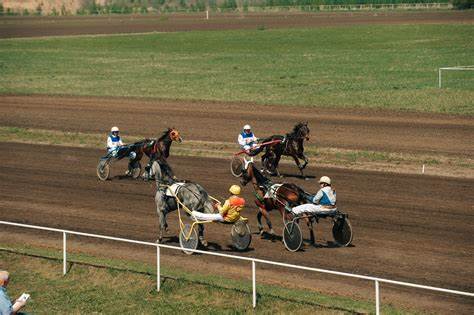 Ост диета воронеж Visit Voronezh | Воронежский ипподром Visit Voronezh | Воронежский ипподром Ост диета воронеж