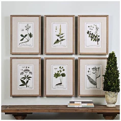 15 Best Collection Of Framed Botanical Art Prints