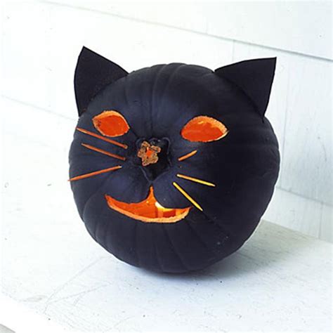 Howl O Ween Black Cat Ideas Irresistible Pets