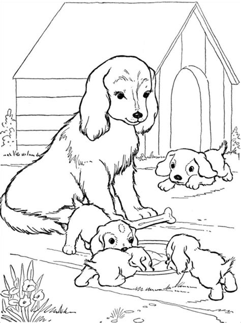 Moms And Baby Dog Coloring Page Coloringbay