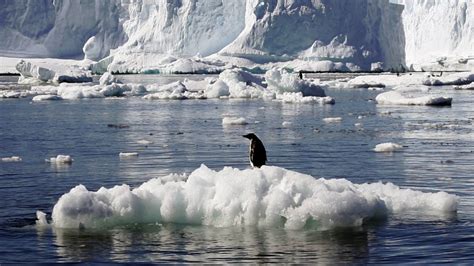 Temperatures, humidity, rain days per month, hours of sunshine, water temperature, rainfalls. Hong Kong citizen scientists help Antarctic climate change ...