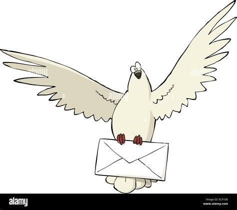 Letter Pigeon Stock Photos And Letter Pigeon Stock Images Alamy