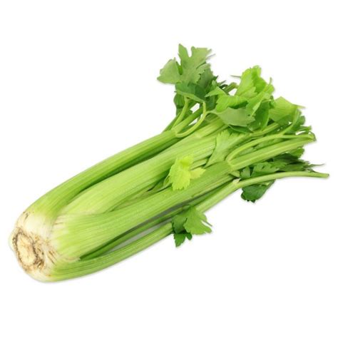 Celery