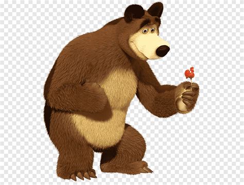 Bear Animaccord Animation Studio Bear Television Mammal Png PNGEgg