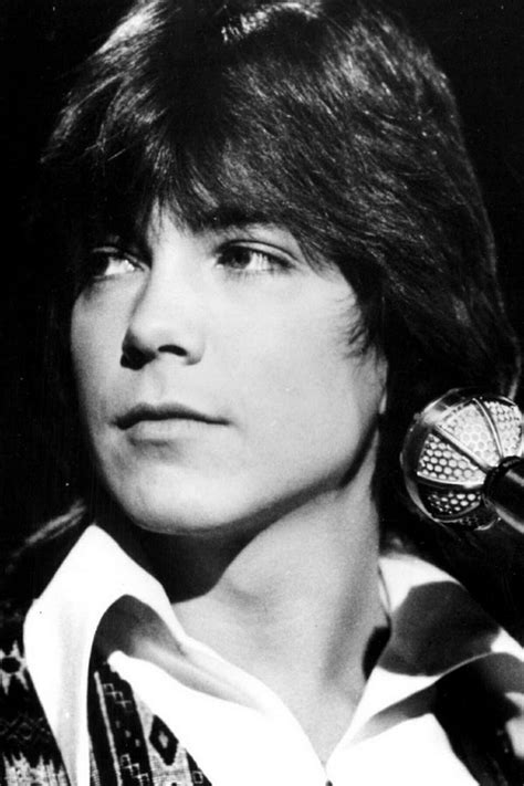 David Cassidy Portrait David Cassidy David Heartthrob