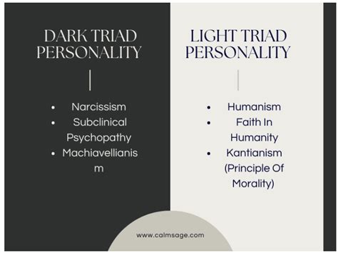 Understanding A Dark Triad Personality Based On Major Red Flags