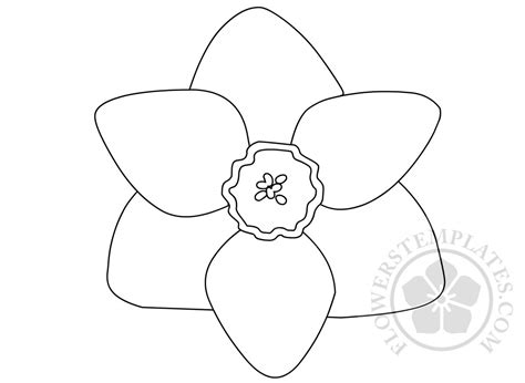 daffodil template flowers templates