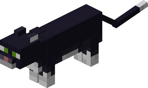 文件tuxedo Cat Je2 Be2png Minecraft Wiki