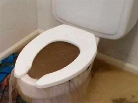How Do I Handle A Toilet Overflow Flood Brothers Plumbing Ph