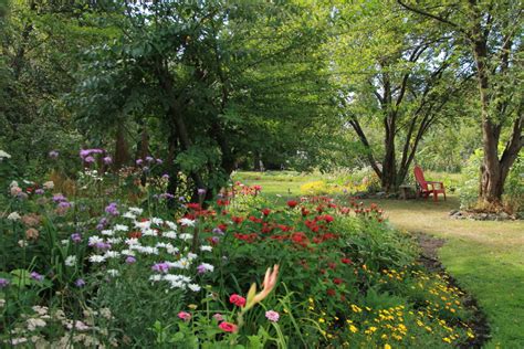 How To Create A Dream Garden