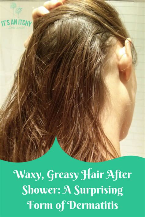 Waxy Greasy Hair After Shower A Surprising Form Of