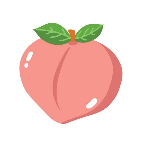 Peach Fruit PNG Vector 2D