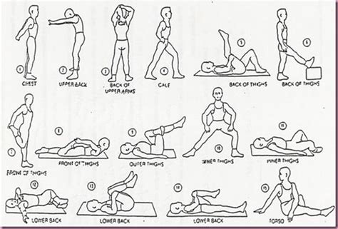 Daily Stretches I Use These To Cool Down After A Workout This All R