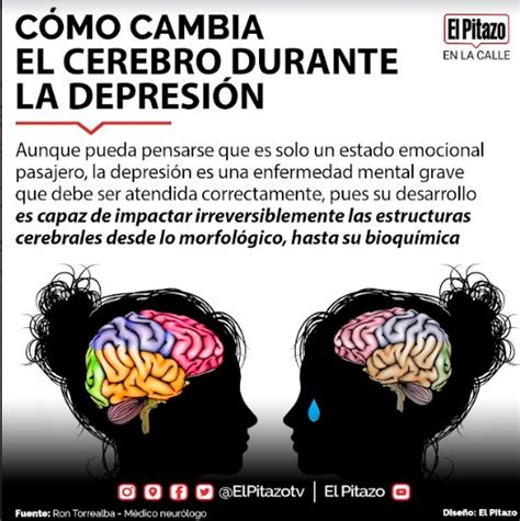 Neur Logo La Depresi N Puede Dejar Da Os Irreversibles En El Cerebro