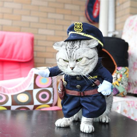 Funny Cat Clothes Costume Nurse Policeman Suit Clothing Fashion Cat
