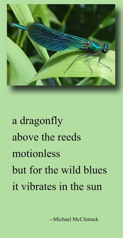 Dragonfly Poems