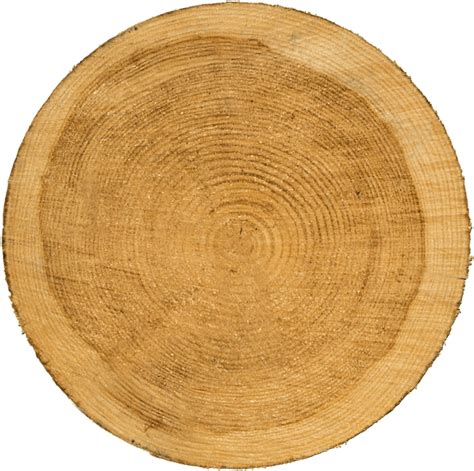 Download Wood Wheel Lumber Full Size Png Image Pngkit