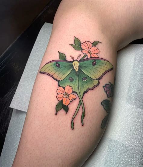 25 Stunning Moth Tattoo Ideas For Men Women In 2023