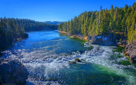 Yellowstone River In Yellowstone National Park In United States Nature