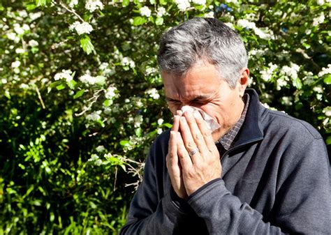 How To Combat Allergy Symptoms Community Health Network