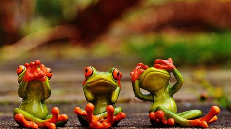 1000 cute frog wallpaper free vectors on ai, svg, eps or cdr. Cute Green Frogs With Red Eyes 3 D Wallpaper Hd 3840x2160 ...