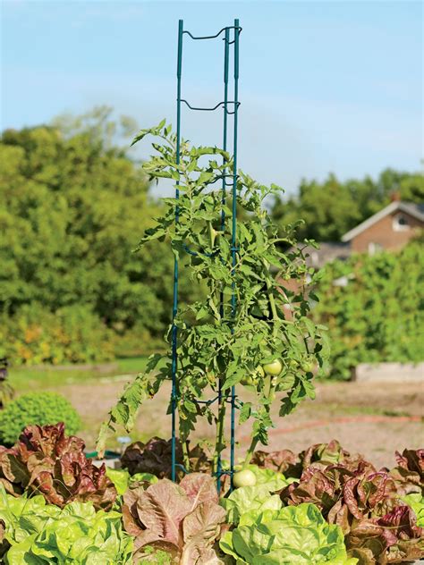 Trellises Plant Support Structures Heavy Gauge Steel 22 78 Tall